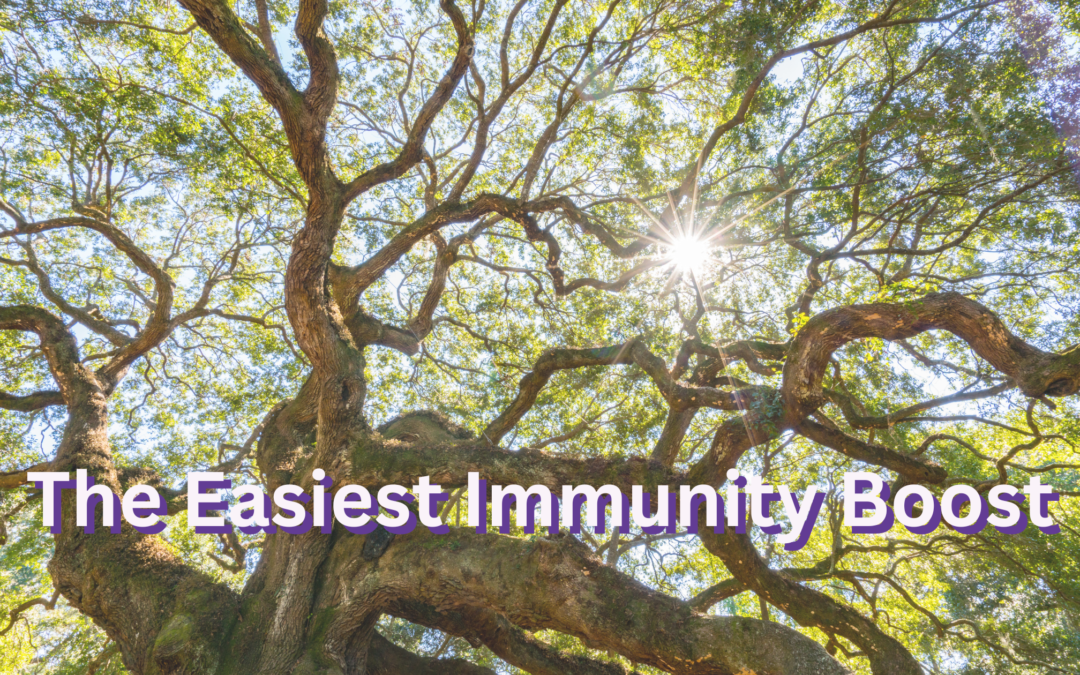 The Easiest Immunity Boost